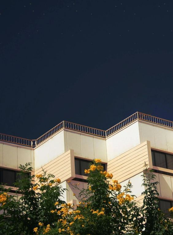 Eastern Mangroves Suites By Jannah