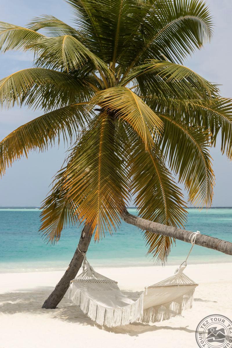 Sun Siyam Vilu Reef