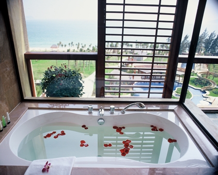 Mangrove Tree Resort