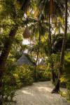 Sun Siyam Vilu Reef