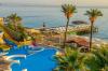 Gypsophila Club Marine
