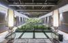 Double Tree By Hilton Hotel - Piyalepasa