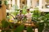 Dusit Thani Pattaya