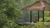 Four Seasons Resort Bali At Sayan