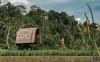 Mandapa, A Ritz-Carlton Reserve