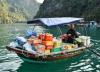 Paradise Sails Cruise Ha Long