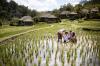 Mandapa, A Ritz-Carlton Reserve