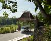 Отель Plataran Borobudur Resort