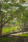 The Ritz-Carlton Bali