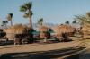 Sheraton Soma Bay Resort