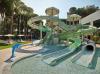 Paloma Grida -