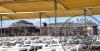 Sunmelia Beach Resort Hotel
