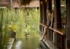 The Patra Bali Resort