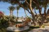 Desert Rose Resort