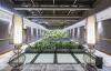 Doubletree By Hilton Istanbul Piyalepasa