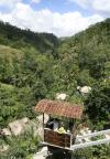 Hanging Gardens Of Bali - Chse Certified