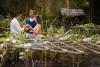Mandapa, A Ritz-Carlton Reserve