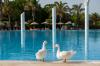 Starlight Resort Hotel -