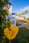 Novotel Palm
