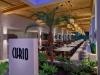 Paloma Grida -