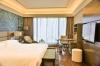 The Leela Ambience Convention Hotel Delhi