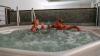 Cleopatra Luxury Resort Makadi Bay
