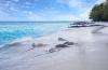 Taj Coral Reef Resort