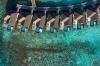 Furaveri Island Resort