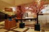 Roda Al Bustan Hotel