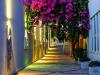 Blue Dreams Resort