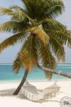 Sun Siyam Vilu Reef