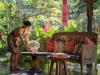 Capella Ubud