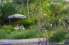 The Ritz-Carlton Bali