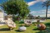 Kairaba Alacati Beach Resort