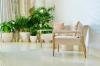 Al Seef Resort