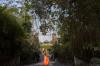 Mandapa, A Ritz-Carlton Reserve