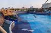 Corniche Hotel Abu Dhabi