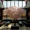 Siam Elegance Hotels