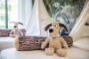 Vinpearl Discovery Greenhill Phu Quoc [Ex Vinpearl Discovery 3 Phu Quoc]