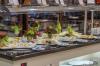 Marmaris Bay Resort By Mp