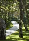 Maxx Royal Kemer Resort