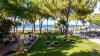 Barut Hemera - Ultra