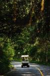 The Surin Phuket