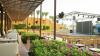 Stella Makadi Beach Resort