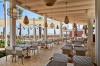 Paloma Grida -