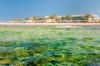 Barcelo Tiran Sharm
