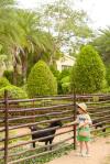 Sheraton Sanya Resort