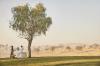 The Ritz-Carlton Ras Al Khaimah, Al Wadi Desert