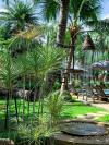 Paradox Resort Phuket