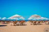 Alarcha Hotels